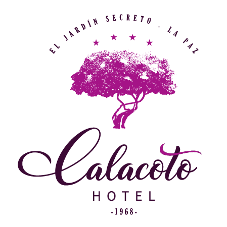 hotel calacoto